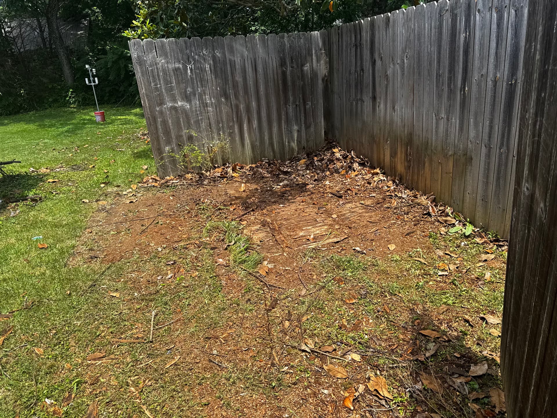 Gallery photos for Backyard Junk Pileup Cleared and Ready for Use: Image #1