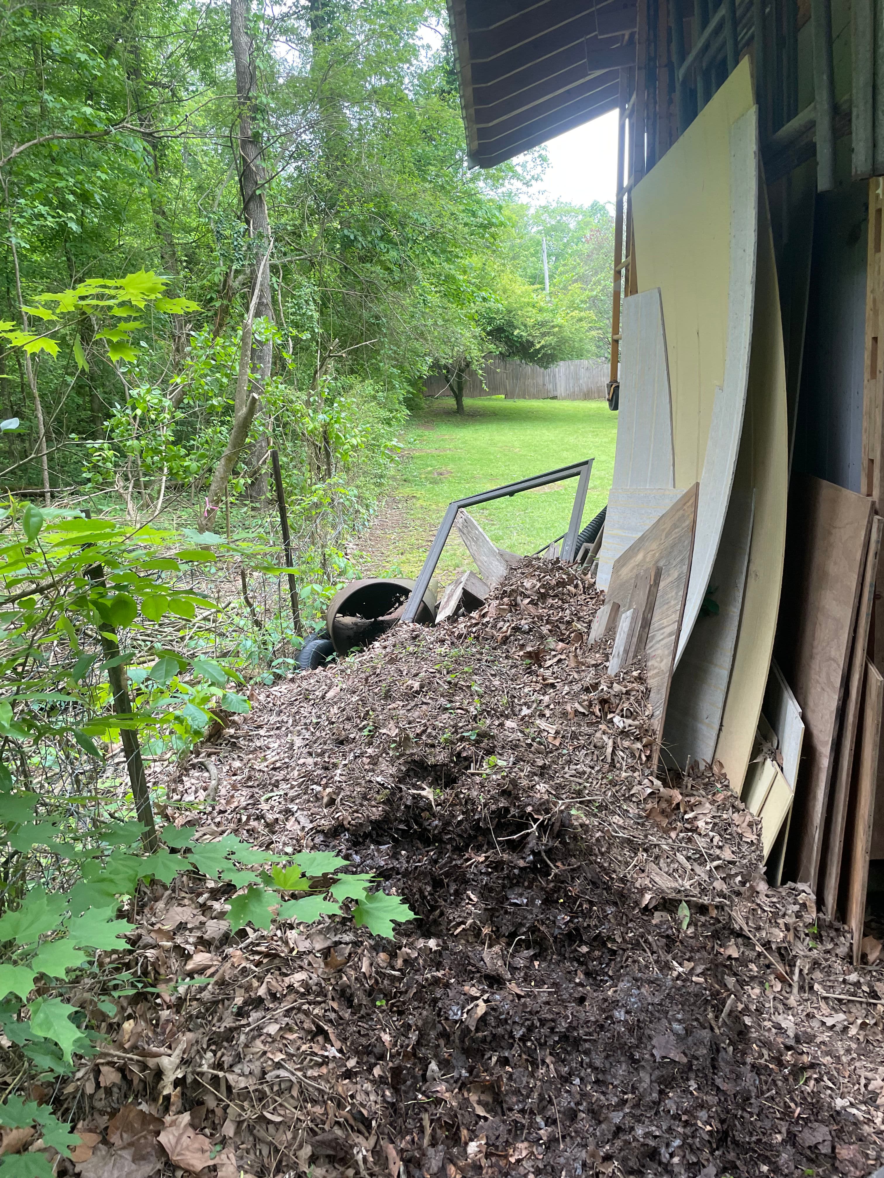 Project Behind the Shed Was a Mess - Here's What We Cleared Out image