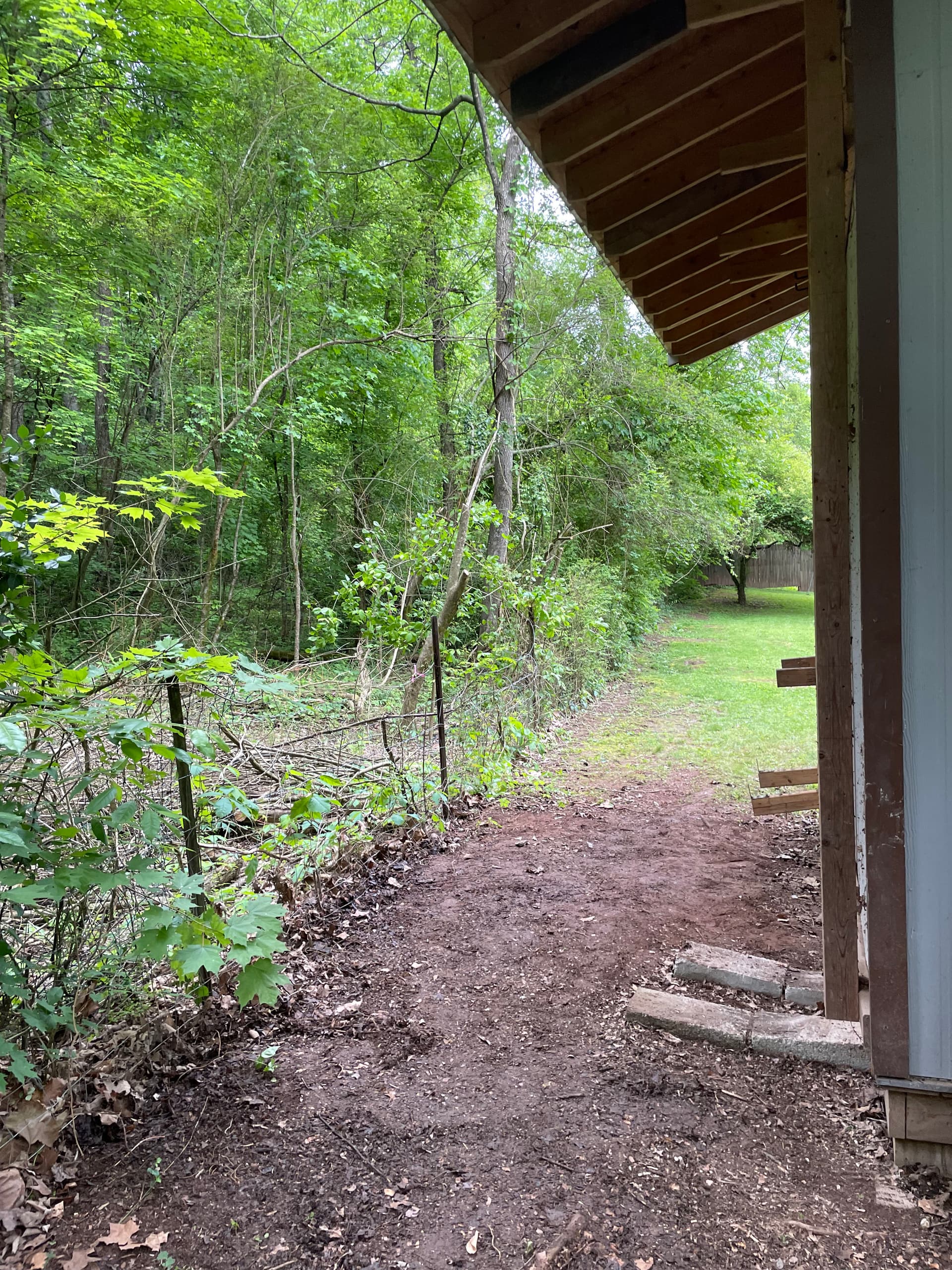 Gallery photos for Behind the Shed Was a Mess - Here's What We Cleared Out: Image #3