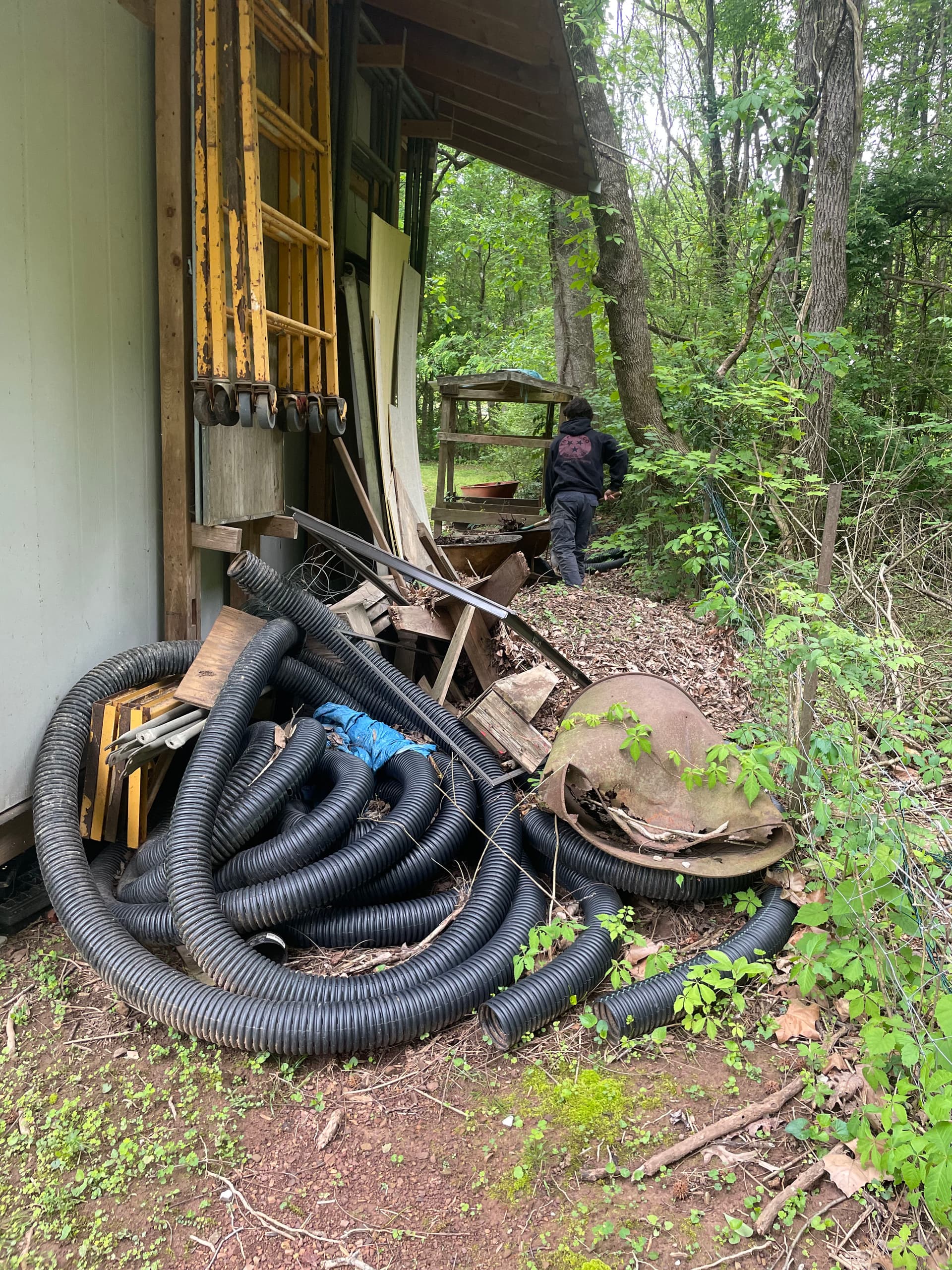 Behind the Shed Was a Mess - Here's What We Cleared Out