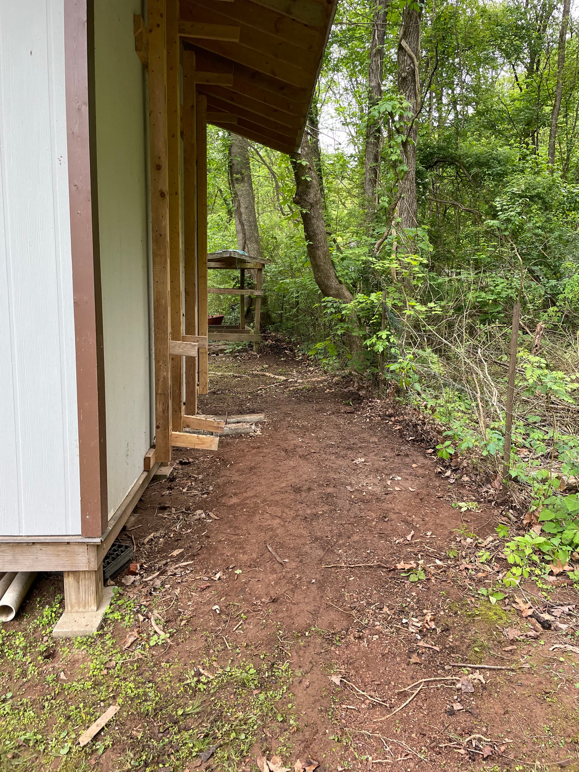 Gallery photos for Behind the Shed Was a Mess - Here's What We Cleared Out: Image #2